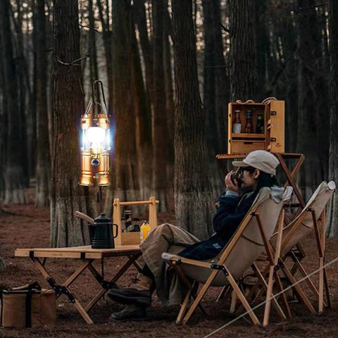 Solar LED Portable Lantern Telescopic Torch Lamp Multi-function-TI00846-Veeddydropshipping