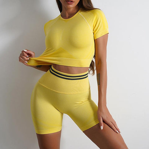 Seamless Women Yoga Set Workout Sportswear Gym Clothing Sport Set Women -OS00832-Veeddydropshipping