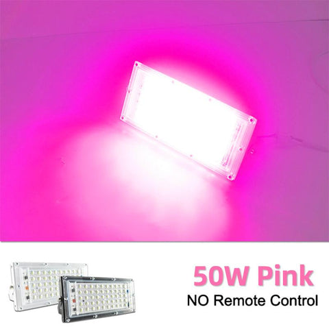 OK-B 2pcs Remote LED FloodLight 50W RGB 100W 220V RReflector-TI00855-Veeddydropshipping