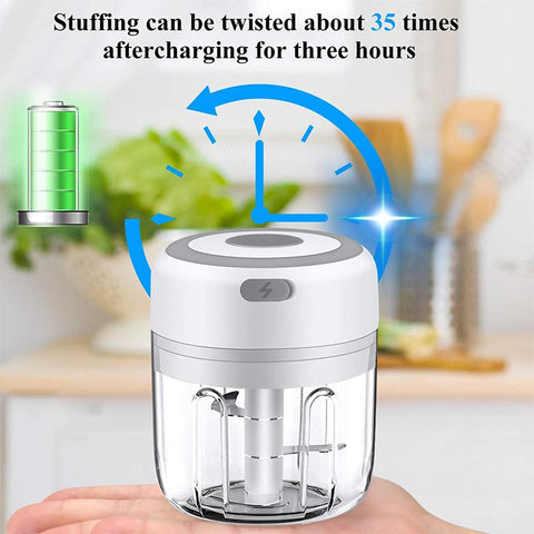 Mini Electric Garlic Chopper Mincer USB Charging Ginger-HA01944-Veeddydropshipping