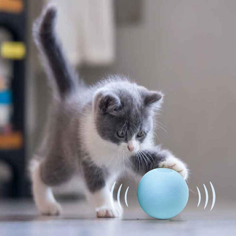 Smart Cat Interactive Ball Cat Funny Chaser Roller-HA01460-Veeddydropshipping