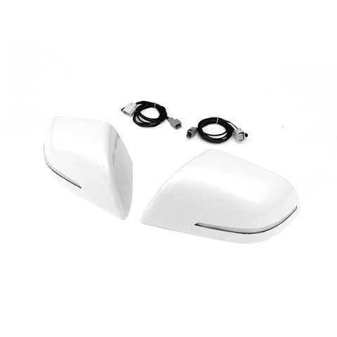 Mirror Cover For Tesla Model 3 2017-2022 Car Exterior Side Rear View Cap-AM00094-Veeddydropshipping