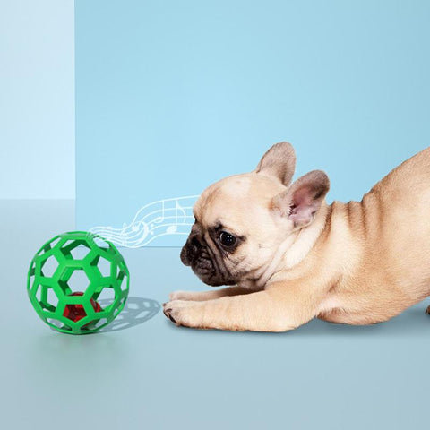 Pet Dog Toy Rubber Interactive Dog Toys Ball-HA01516-Veeddydropshipping