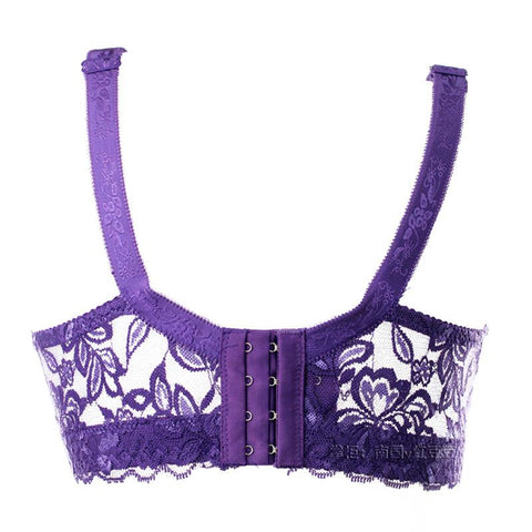 Plus Size Lace Bras Women Underwear-WF00990-Veeddydropshipping