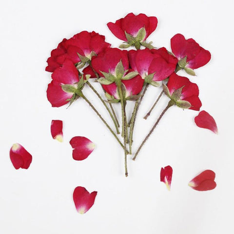 rose dried flowers all kinds of DIY dry flower-HA00672-Veeddydropshipping