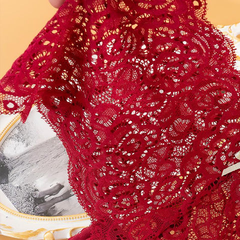 Women Sexy Lace Panties Underwear-Veeddydropshipping