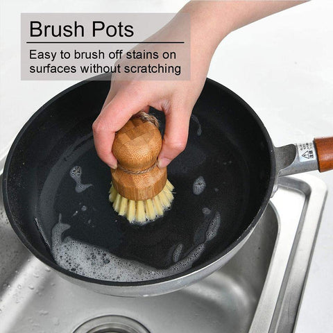 Palm Pot Brush Bamboo Round Mini Scrub Brush-HA01096-Veeddydropshipping
