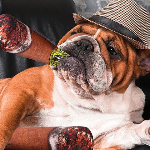 Pet Squeaky Toy Dog Joke Prank Toys-HA01502-Veeddydropshipping
