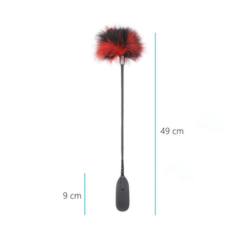 Flirt Tickle Erotic Feather with Fetish Punish Leather Spank Whip for Men Women -BH01336-Veeddydropshipping