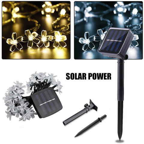 12m 50 Flower Waterproof Solar Led Light Outdoor Christmas-TI00843-Veeddydropshipping