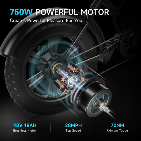 HR-G50 Brushless Motor Electric Bicycle 750W 48V 15Ah 20 Inch E-Bike -OS00938-Veeddydropshipping