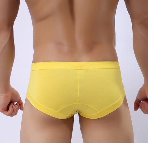 Men&#39;s Sexy Briefs Underpants Modal Comfortable Mens Briefs-MF01685-Veeddydropshipping