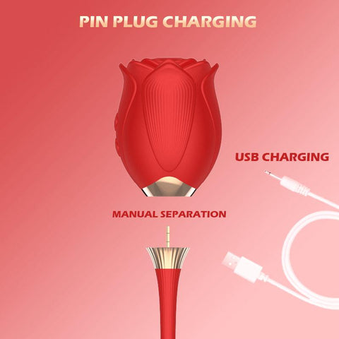 Detachable Rose Toy Vibrator for Women G Spot Vibrator Clitoral Stimulator -BH01310-Veeddydropshipping