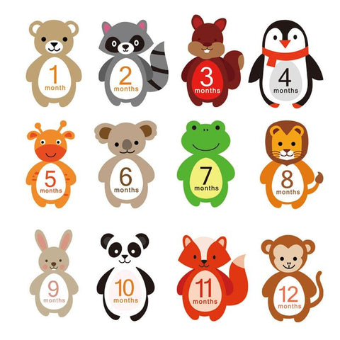 12PCS Month Stickers Baby Photography Milestone Paper Made Cards Newborn-TB00791-Veeddydropshipping