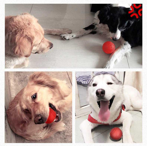 Dog Toy Rubber Ball Bite-resistant Ball-HA01501-Veeddydropshipping