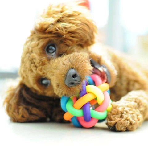 Small Bell Toy Dog Antibite Ball Dog Accessories-HA01471-Veeddydropshipping
