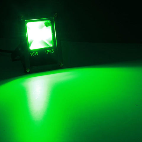 10W 20W 30W 50W DC12V LED Flood Light Red/Green/Bulb/Yellow/Warm-TI00870-Veeddydropshipping