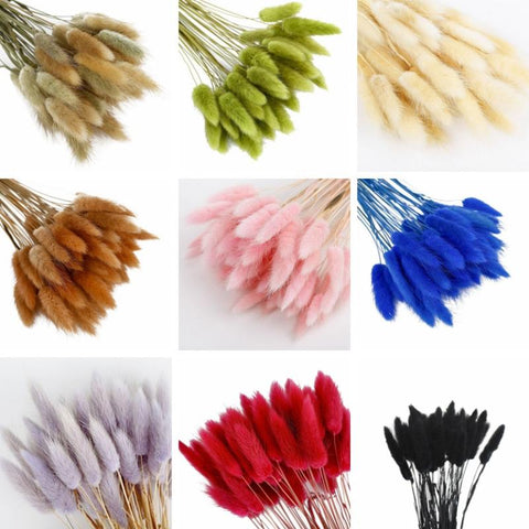 Pastoral Rabbit Tail Grass Bunny Tails Dried Flowers-HA00653-Veeddydropshipping