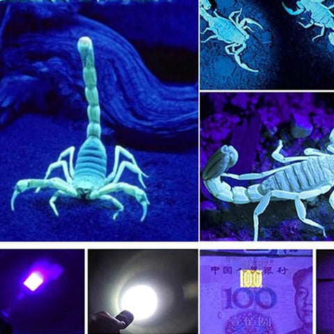 2 IN 1 Ultraviolet Flashlight Purple White Light Flashlight Zoom Fluorescent Black-TI00781-Veeddydropshipping