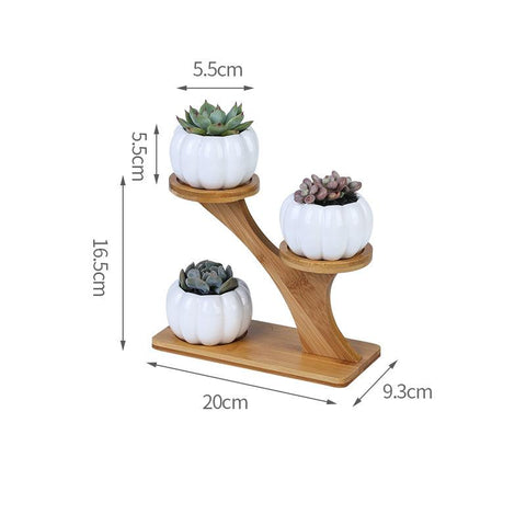 Plant Shelves Flower Display Stand-HA01721-Veeddydropshipping