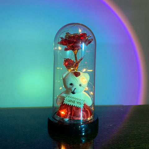 Flower Beauty and the Beast Led Eternal Rose in Glass-HA00666-Veeddydropshipping