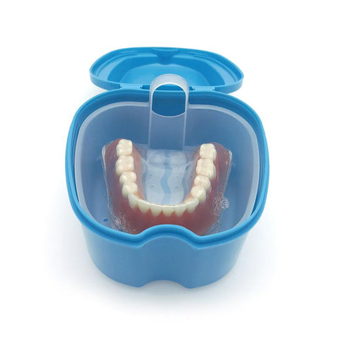 Artificial Tooth Organizer Denture Bath Box Case-HA00783-Veeddydropshipping