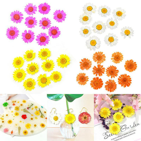 Dried Flowers Resin Filler Jewelry Making Plant Decoration-HA00664-Veeddydropshipping
