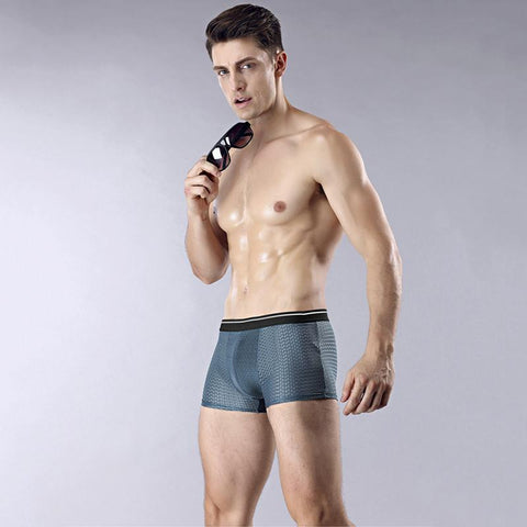 Mesh Breathable Undies And Comfortable Men Panties Ice Silk-MF01717-Veeddydropshipping