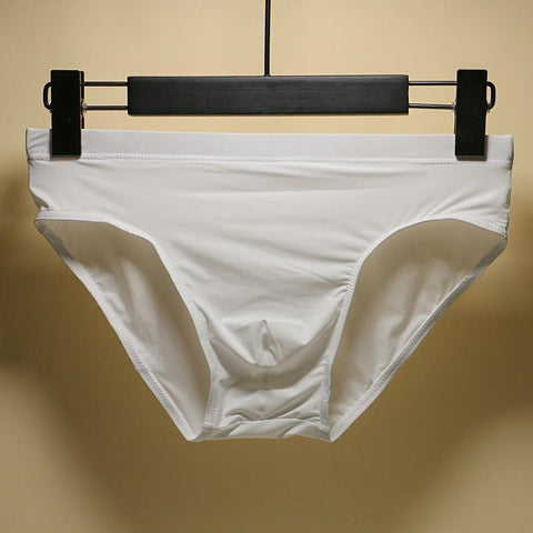 Underpants Nylon Breathable Briefs Low-waist Panty Male Panties Europe-MF01636-Veeddydropshipping