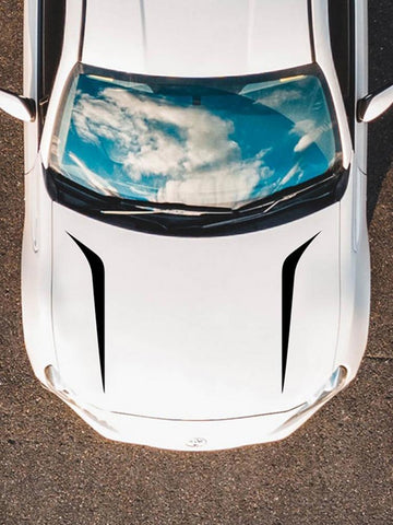 Vinyl Sticker Stripe Decal Modification Hood Decals-AM00936-Veeddydropshipping