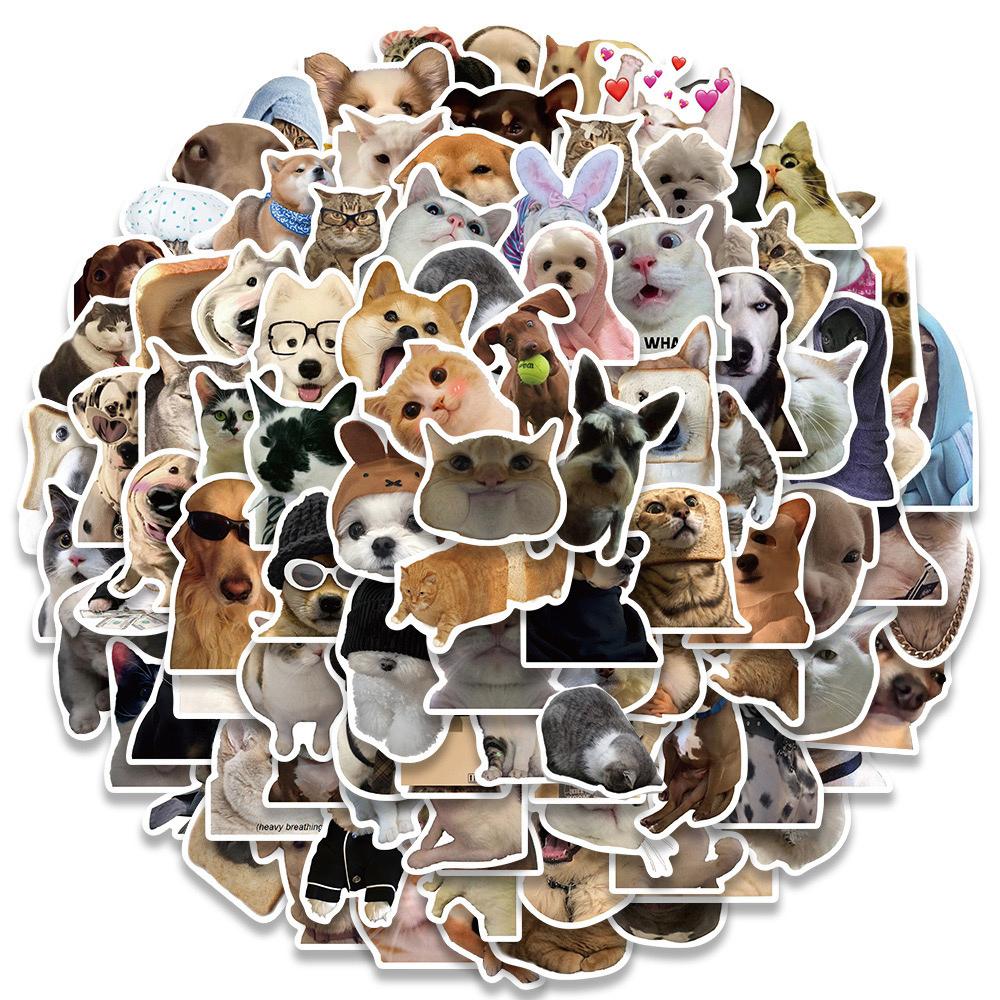 10/30/50/100pcs Funny Cat Dog Meme Stickers Decal DIY Scrapbook-TB01647-Veeddydropshipping
