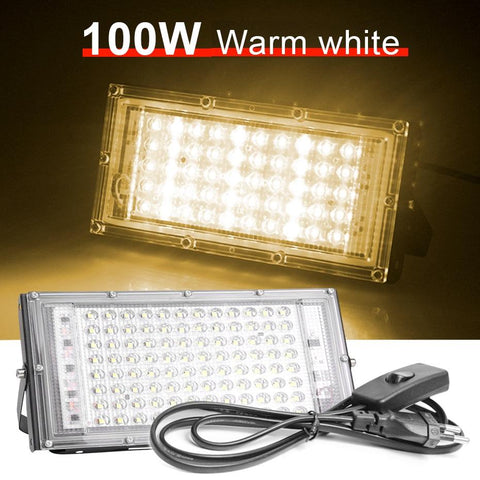 220V LED Floodlight Outdoor 100W 50W Waterproof 2835 RGB Warm Cold-TI00887-Veeddydropshipping