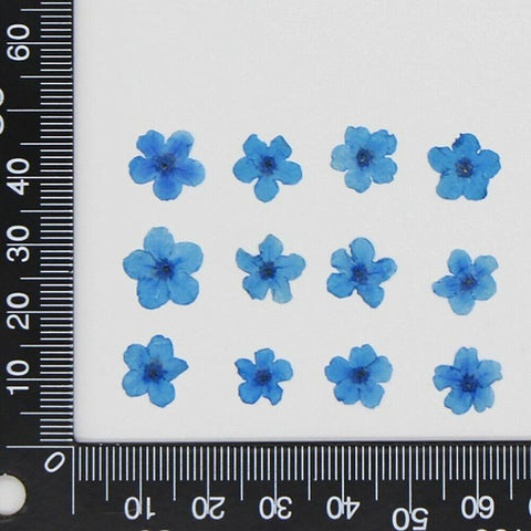 Dried Flower Head Jewellery Nail Art Flower Stickers-HA00714-Veeddydropshipping