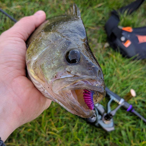 2021 Supercontinent worm bait soft bait Tanta 49mm 65mm fishing lures Pesca carp -OS00318-Veeddydropshipping