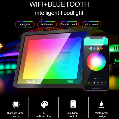 Smart RGB Floodlight For Garden 100W Spotlight Outdoor Lawn Lighting-TI00886-Veeddydropshipping