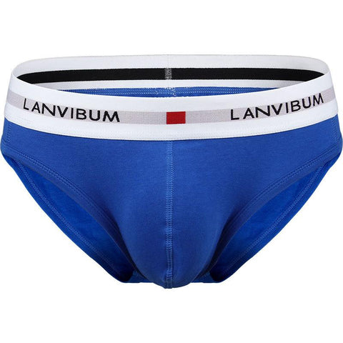 Classic Underwear Solid Briefs Calzoncillos Hombre-MF01506-Veeddydropshipping