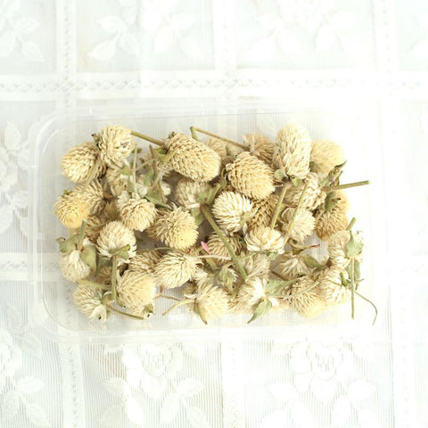 Natural Dried Flowers Head Epoxy Resin Mold-HA00747-Veeddydropshipping