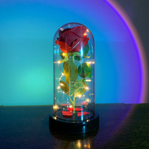 Flower Beauty and the Beast Led Eternal Rose in Glass-HA00666-Veeddydropshipping