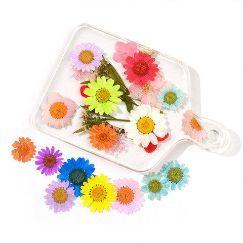 Dried Flowers Resin Filler Jewelry Making Plant Decoration-HA00664-Veeddydropshipping