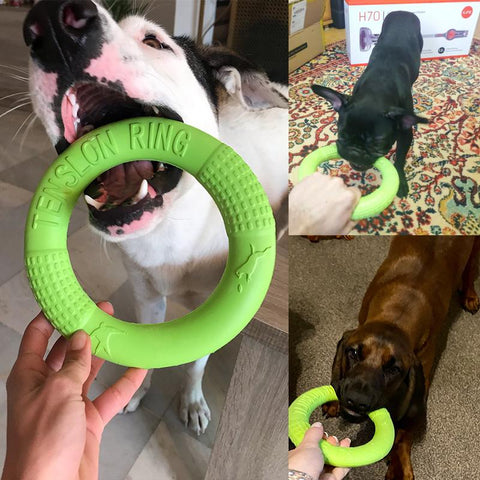 Big Dogs Interactive Training Ring Puller-HA01491-Veeddydropshipping
