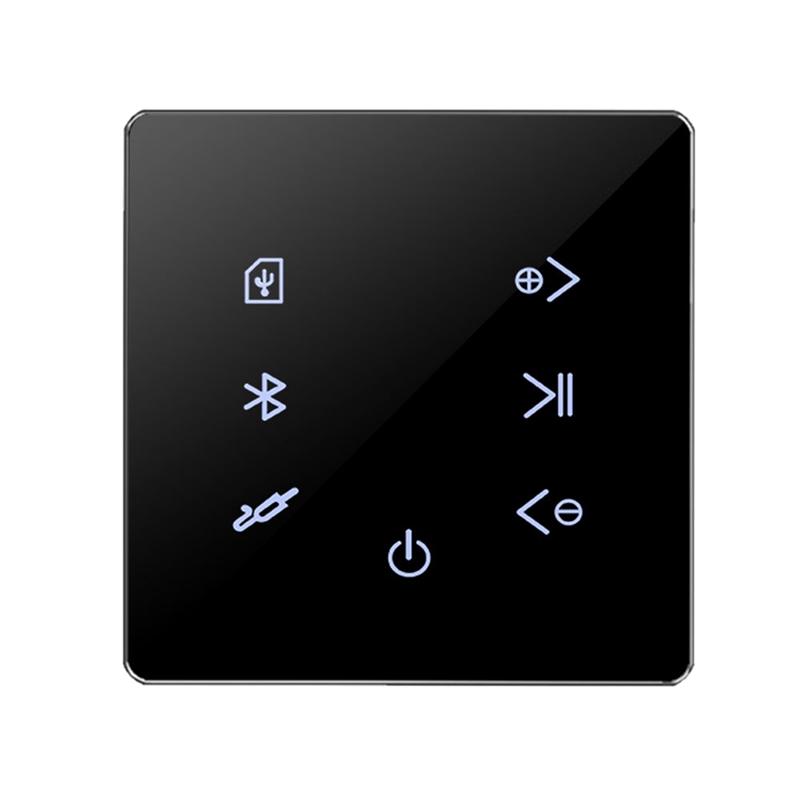 Music Amplifier Panel Smart Home Background Audio System-Veeddydropshipping
