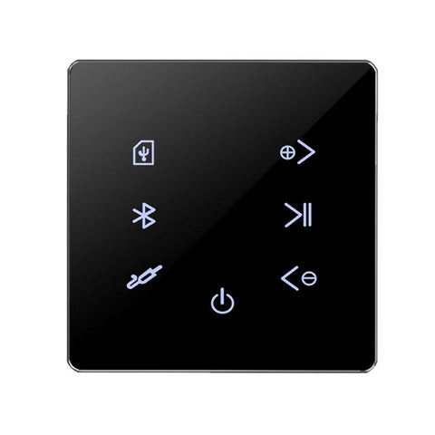 Music Amplifier Panel Smart Home Background Audio System-Veeddydropshipping