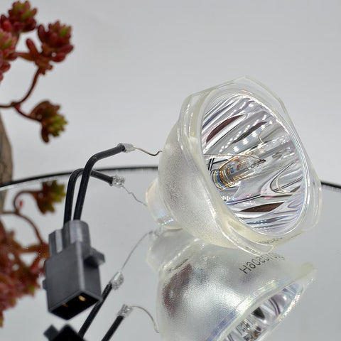Free shipping Compatible Bare Lamp ELPLP80/ELPLP78/ELPLP88/ELPLP79-CE00903-Veeddydropshipping