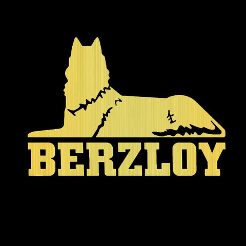 Vinyl Decal BERZLOY Motorcycle Decorative Accessories-AM00943-Veeddydropshipping