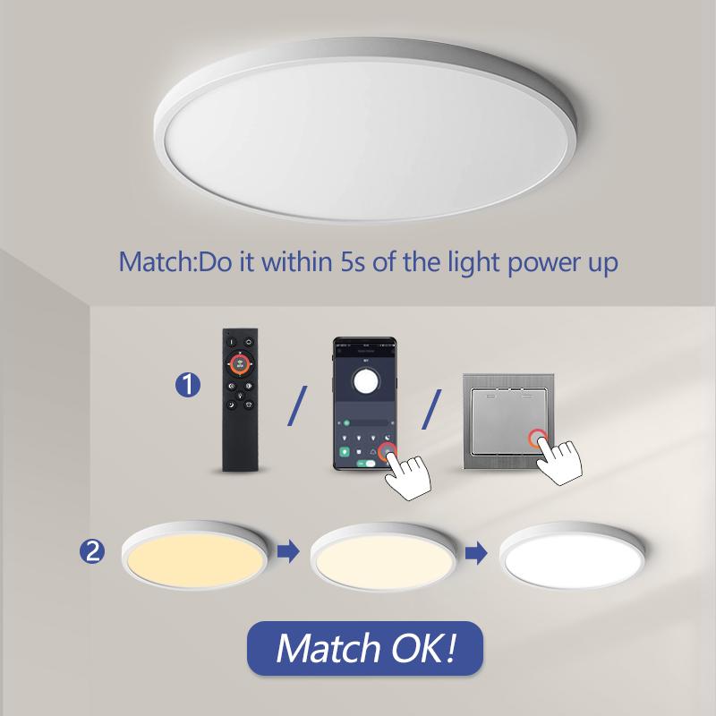 Ceiling Lamp APP/Remote Control LED Smart Lights-TI00292-Veeddydropshipping