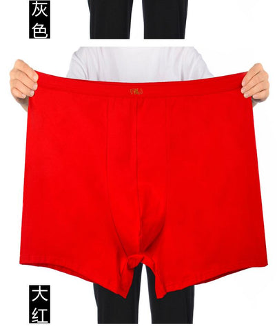 Pantie Lot Underpant Loose Large Short Cotton Plus Size Underwear-MF01450-Veeddydropshipping