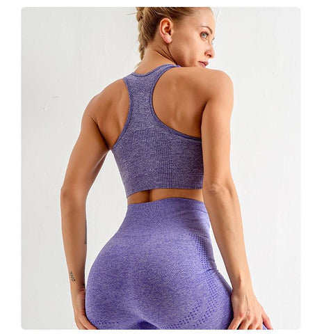 2/3/5PCS Yoga Set Seamless Workout Clothes Fitness Sports Bra Leggings Long -OS00791-Veeddydropshipping