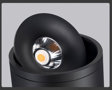 Dimmable Surface Mounted LED Ceiling Light-TI00373-Veeddydropshipping