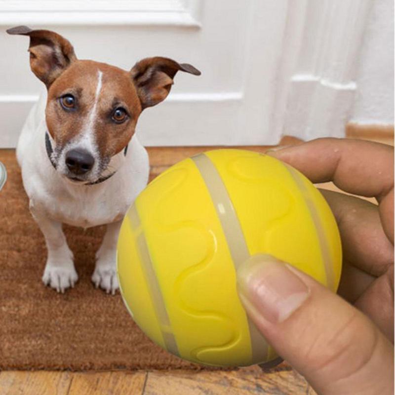 Smart Interactive Dog Toy Ball For Puppy-HA01500-Veeddydropshipping