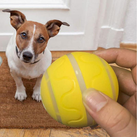 Smart Interactive Dog Toy Ball For Puppy-HA01500-Veeddydropshipping